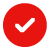 check icon